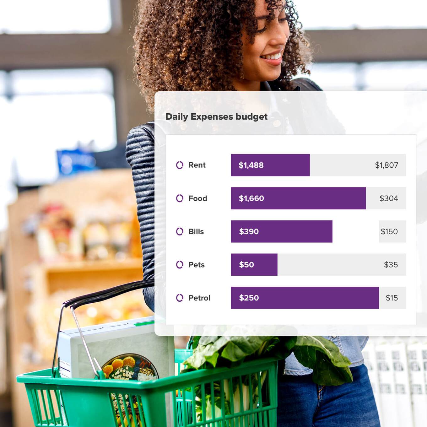 A Daily Expenses budget breakdown using bar graphs