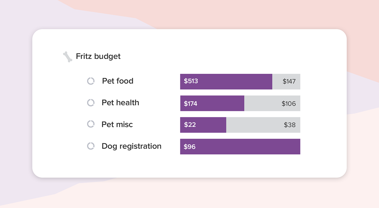 Graphs showing various in progress budgets for Fritz the dog