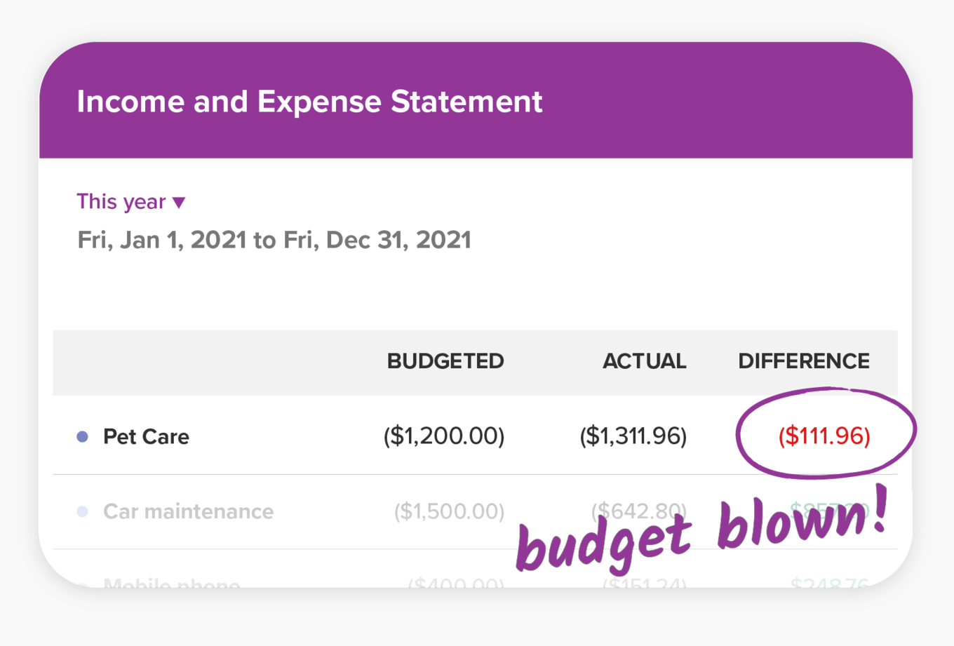 PocketSmith Income & Expense Statement showing pet care budget blow out